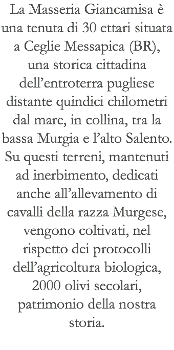 La Masseria Giancamisa è una tenuta di 30 ettari situata a Ceglie Messapica (BR), una storica cittadina dell’entroterra pugliese distante quindici chilometri dal mare, in collina, tra la bassa Murgia e l’alto Salento. Su questi terreni, mantenuti ad inerbimento, dedicati anche all’allevamento di cavalli della razza Murgese, vengono coltivati, nel rispetto dei protocolli dell’agricoltura biologica, 2000 olivi secolari, patrimonio della nostra storia.