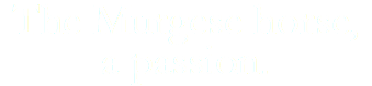 The Murgese horse, a passion.
