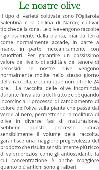 Le nostre olive Il tipo di varietà coltivate sono l’Ogliarola Salentina e la Cellina di Nardò, cultivar tipiche della zona. Le olive vengono raccolte rigorosamente dalla pianta, mai da terra come normalmente accade, in parte a mano, in parte meccanicamente con scuotitori. Per garantire un bassissimo valore del livello di acidità e del tenore di perossidi, le nostre olive vengono normalmente molite nello stesso giorno della raccolta, e comunque non oltre le 24 ore. La raccolta delle olive incomincia durante l'invaiatura del frutto e cioè quando incomincia il processo di cambiamento di colore dell'oliva sulla pianta che passa dal verde al nero, permettendo la molitura di olive in diverse fasi di maturazione. Sebbene questo processo riduca sensibilmente il volume della raccolta, garantisce una maggiore pregevolezza del prodotto che risulta sensibilmente più ricco di valori preziosi come gli antiossidanti, la cui concentrazione è anche maggiore quanto più antichi sono gli alberi.
